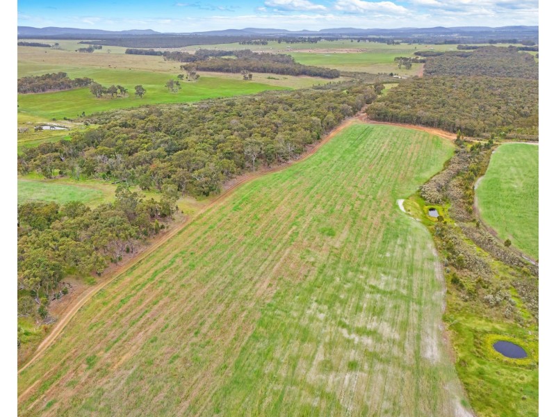 57 Youngs Road, Napier WA 6330