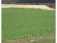 1028 Nightwell Road, Nalyerlup WA 6338