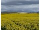1028 Nightwell Road, Nalyerlup WA 6338