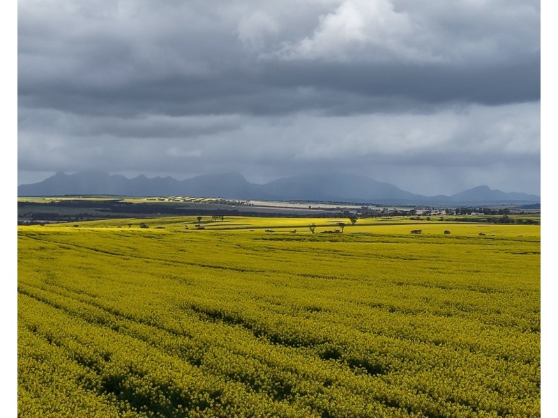 1028 Nightwell Road, Nalyerlup WA 6338