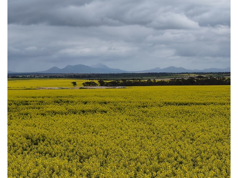 1028 Nightwell Road, Nalyerlup WA 6338