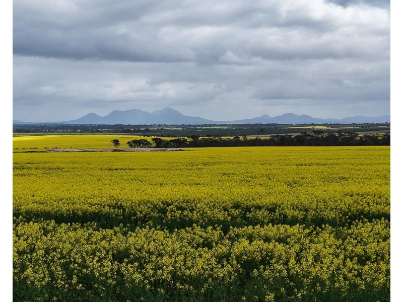 1028 Nightwell Road, Nalyerlup WA 6338