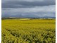 1028 Nightwell Road, Nalyerlup WA 6338