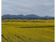1028 Nightwell Road, Nalyerlup WA 6338