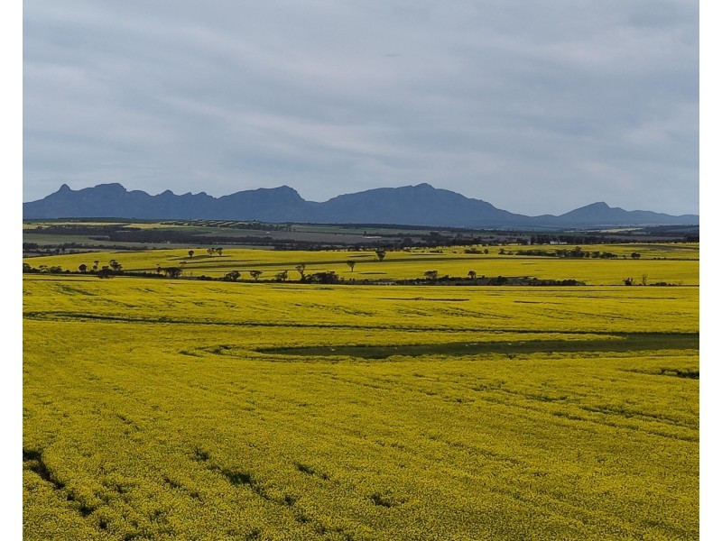 1028 Nightwell Road, Nalyerlup WA 6338