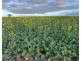 39705 South Coast Highway, Green Range WA 6328