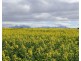 39705 South Coast Highway, Green Range WA 6328