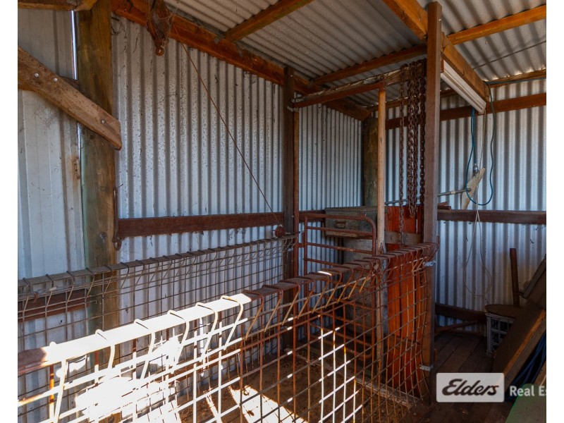 112 Hannan Way, Narrikup WA 6326