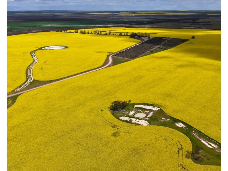 23222 South Coast Highway, West River WA 6346