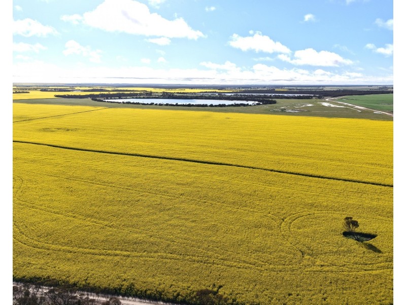 23222 South Coast Highway, West River WA 6346