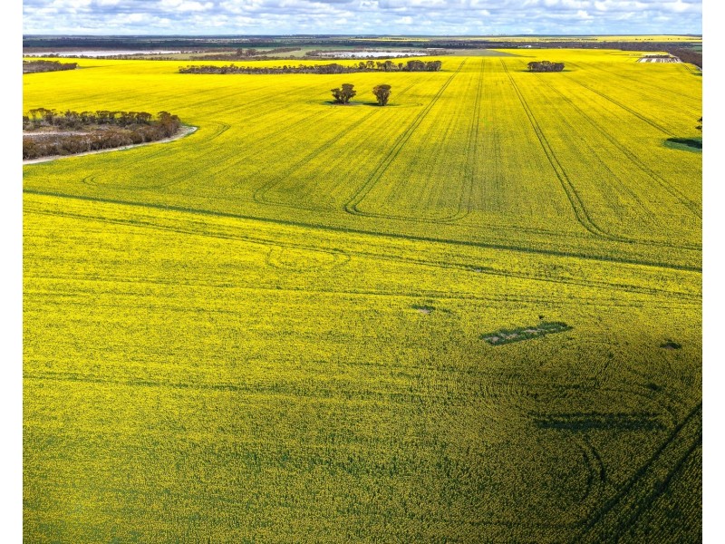 23222 South Coast Highway, West River WA 6346