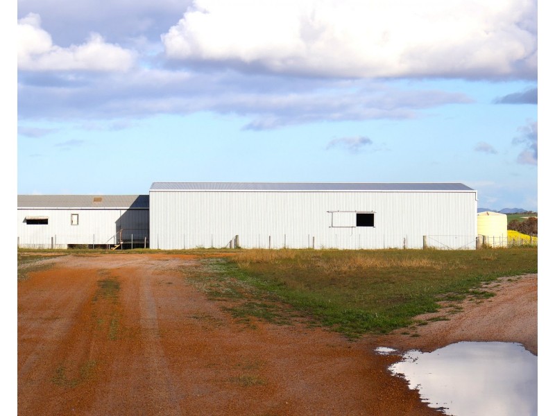 23222 South Coast Highway, West River WA 6346