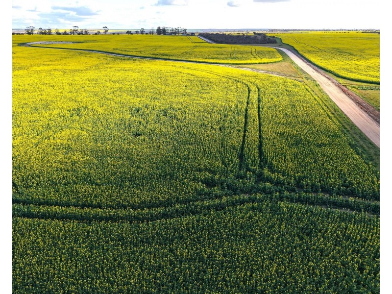 23222 South Coast Highway, West River WA 6346