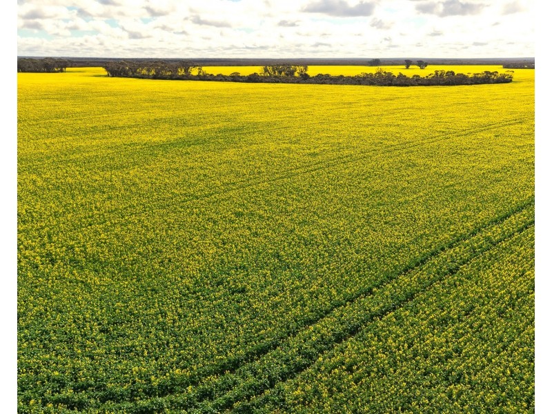 23222 South Coast Highway, West River WA 6346