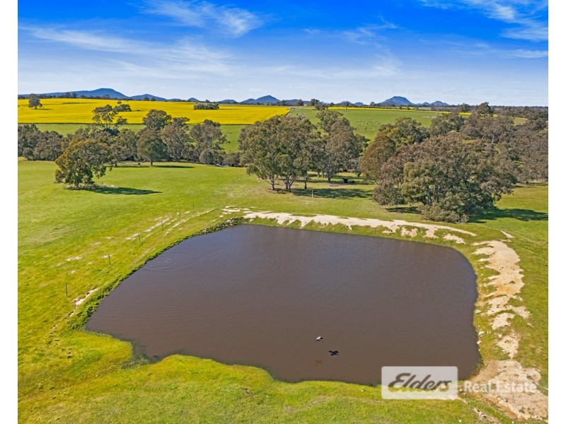 Wongalillup Road, Tenterden WA 6322