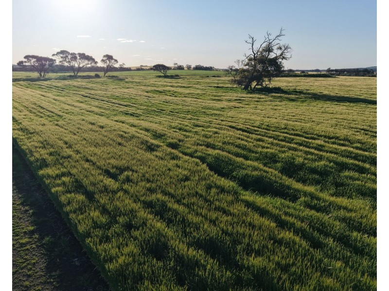 491 Knight Road, Porongurup WA 6324