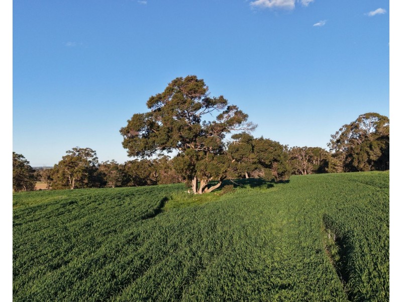 491 Knight Road, Porongurup WA 6324