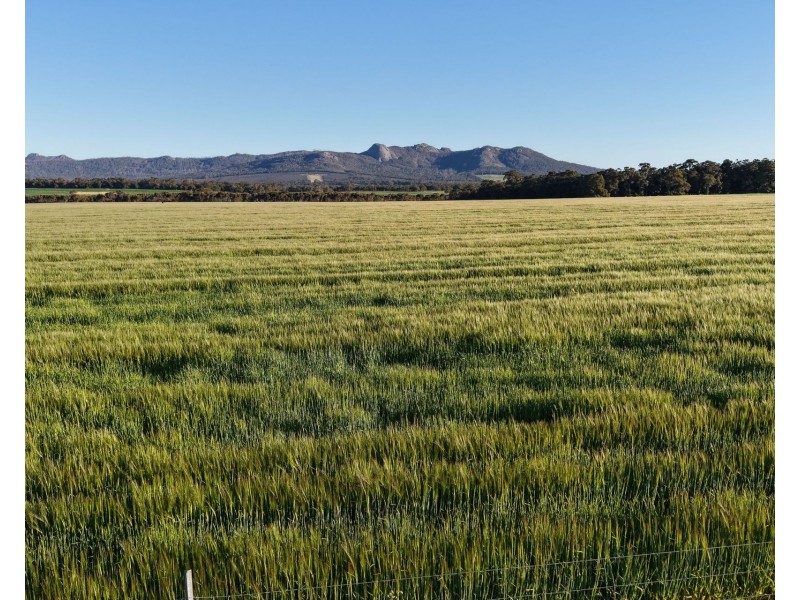 491 Knight Road, Porongurup WA 6324