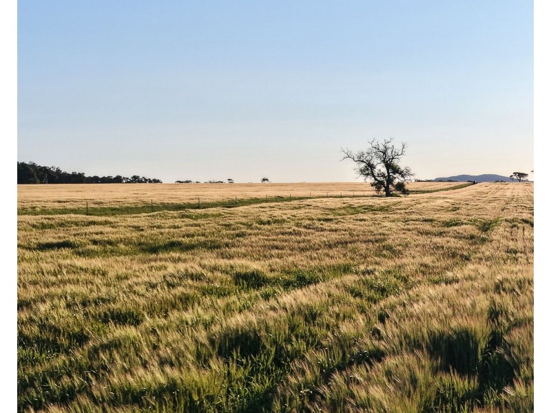 491 Knight Road, Porongurup WA 6324