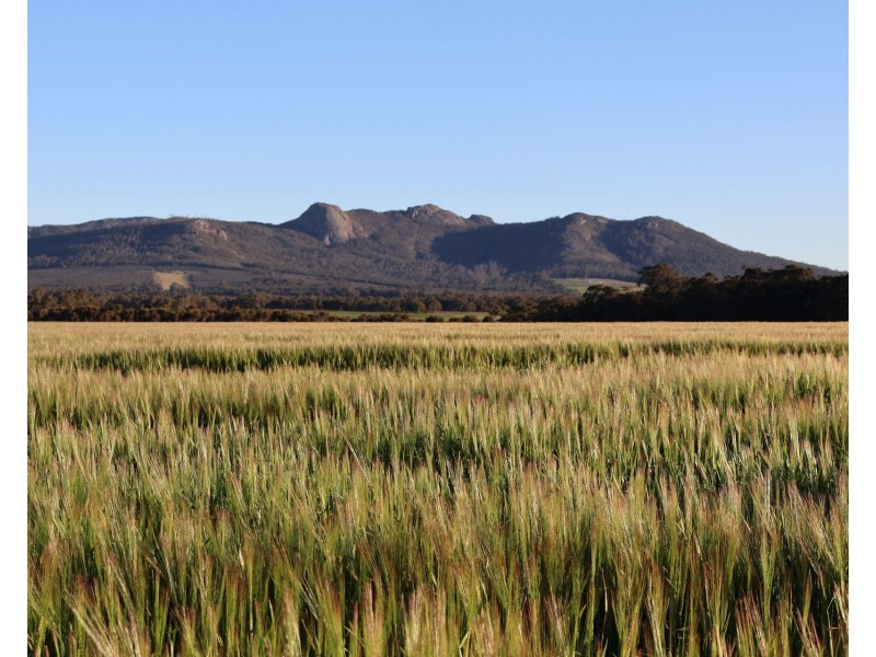 491 Knight Road, Porongurup WA 6324