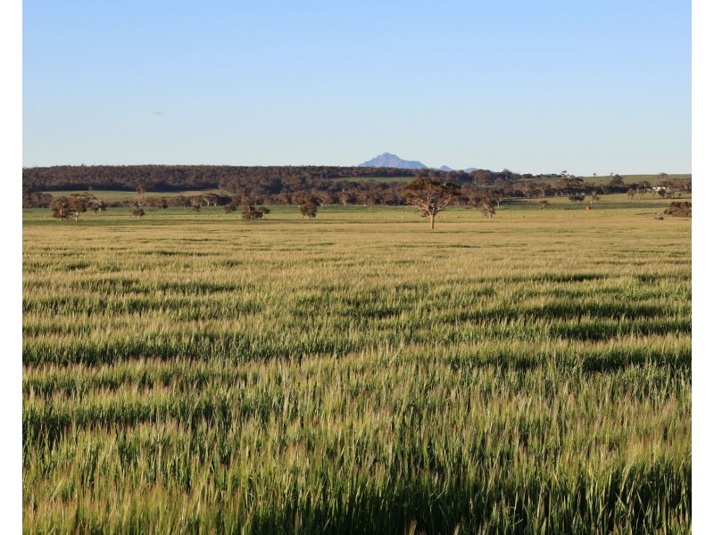 491 Knight Road, Porongurup WA 6324