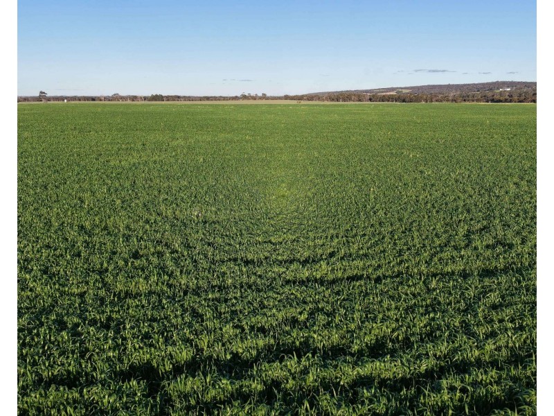 491 Knight Road, Porongurup WA 6324