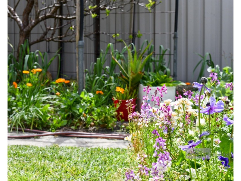 20 Emma Street, Bremer Bay WA 6338