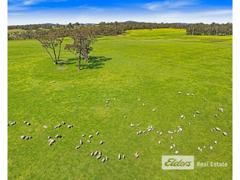 101 Riches Road, Mount Barker WA 6324
