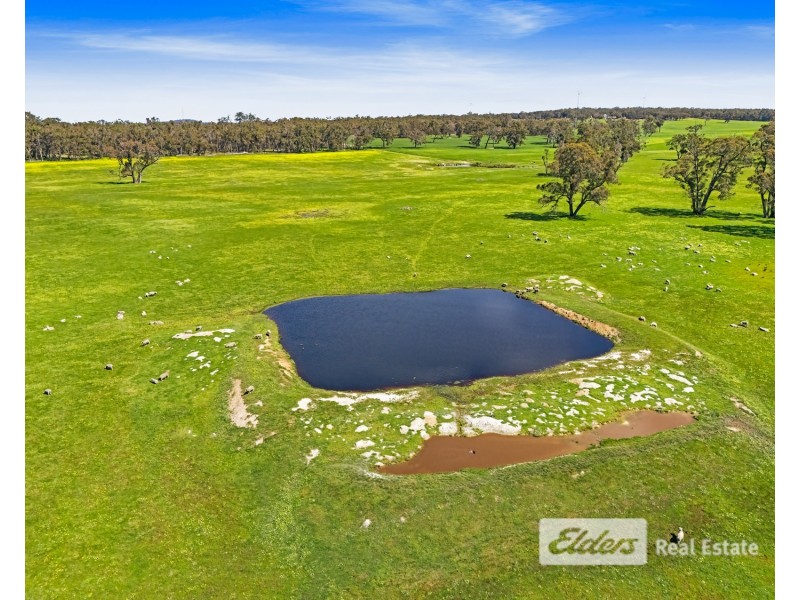 101 Riches Road, Mount Barker WA 6324