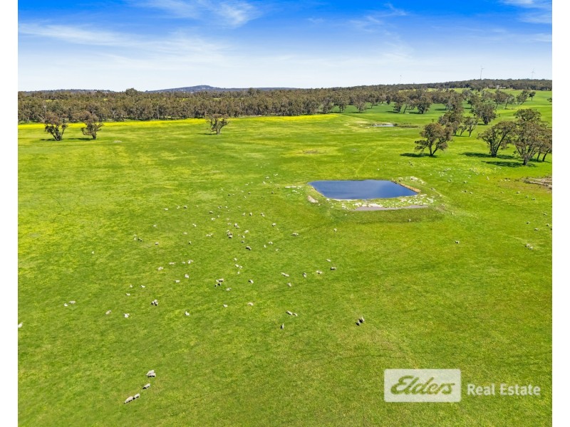 101 Riches Road, Mount Barker WA 6324
