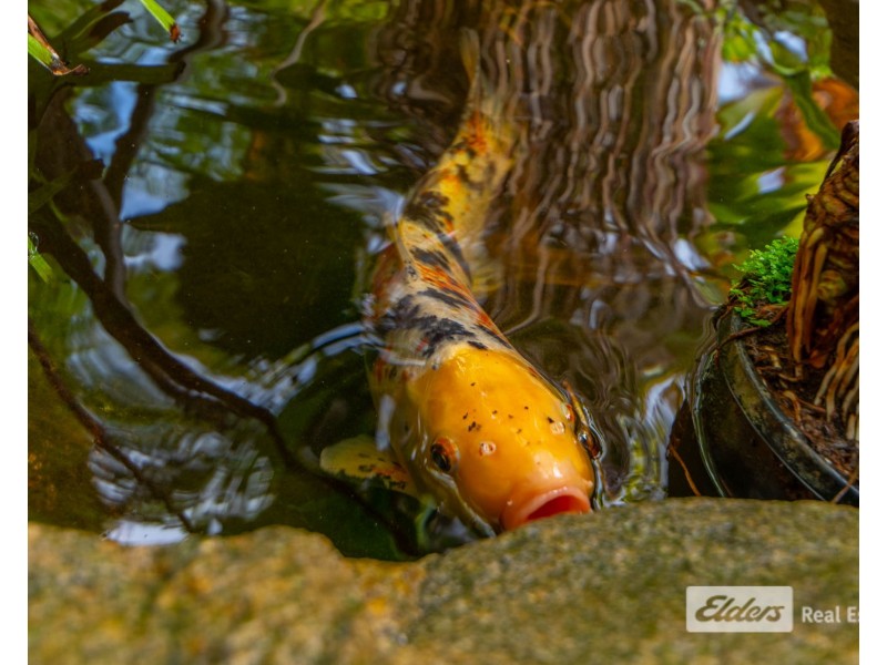 4/50 Lion Street, Centennial Park WA 6330