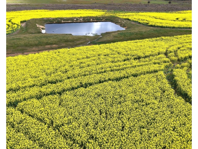 171 Kwornicup Road, Forest Hill WA 6324