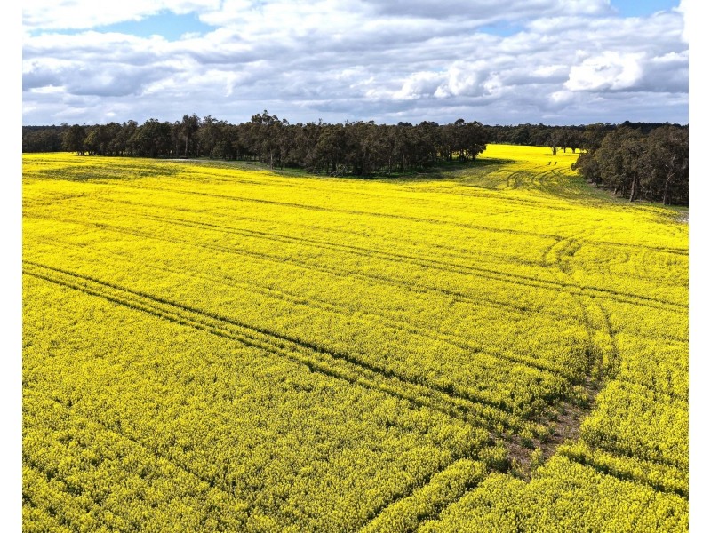 171 Kwornicup Road, Forest Hill WA 6324