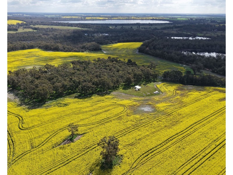 171 Kwornicup Road, Forest Hill WA 6324