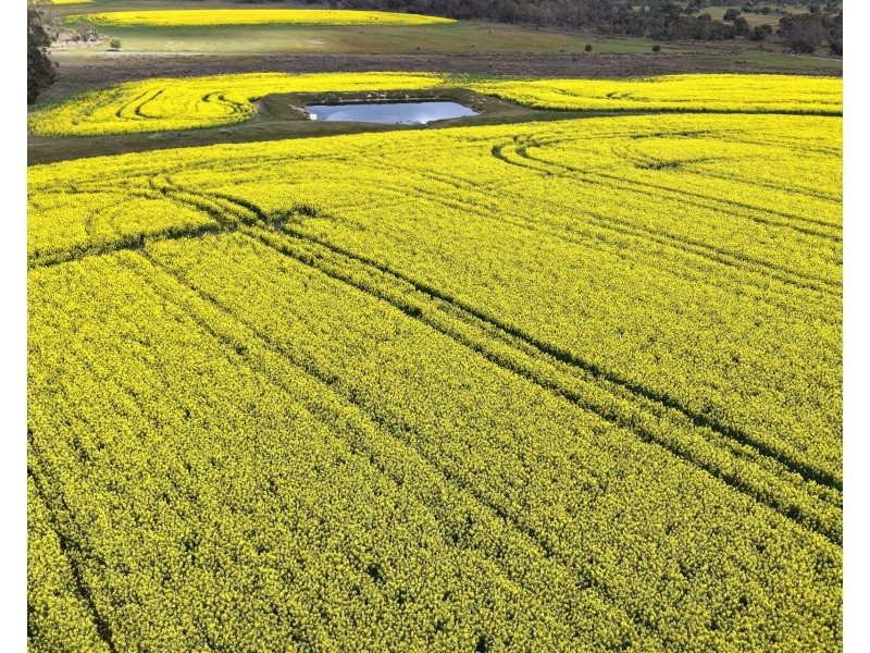 171 Kwornicup Road, Forest Hill WA 6324