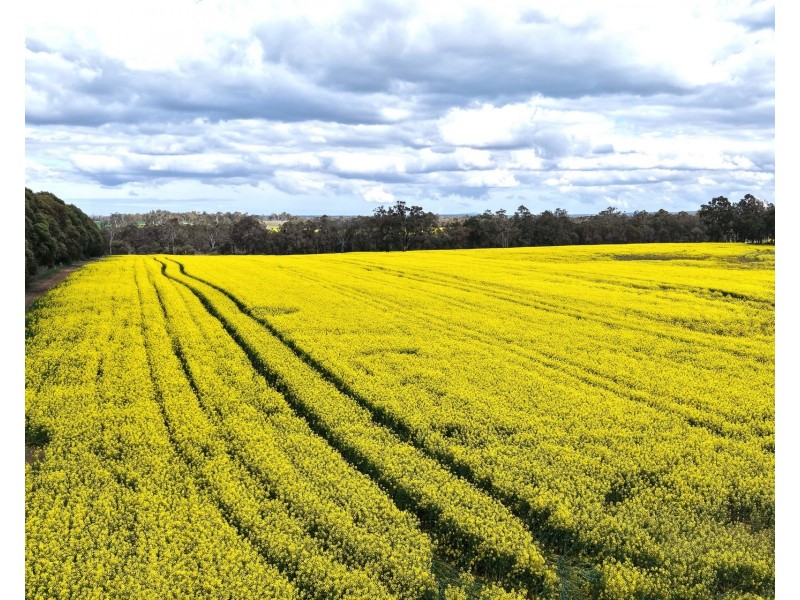 171 Kwornicup Road, Forest Hill WA 6324