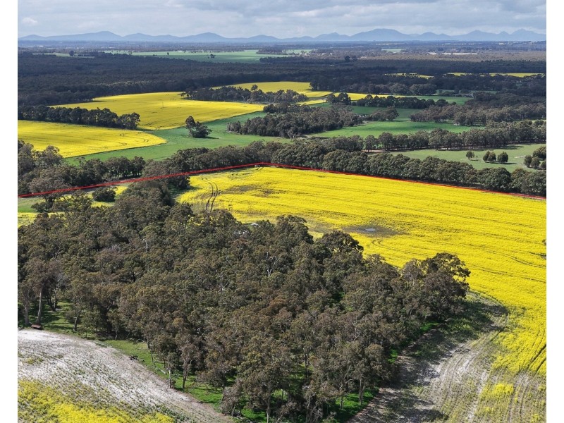 171 Kwornicup Road, Forest Hill WA 6324