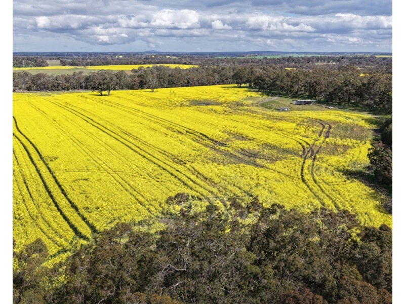 171 Kwornicup Road, Forest Hill WA 6324