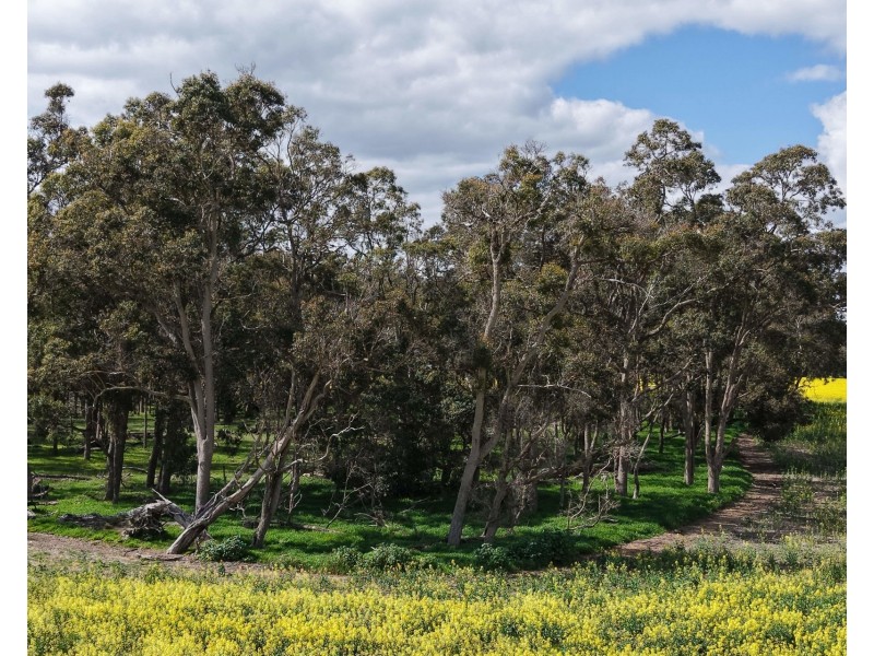 171 Kwornicup Road, Forest Hill WA 6324