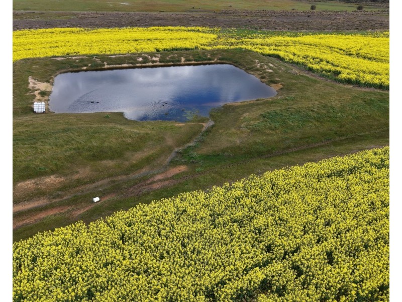 171 Kwornicup Road, Forest Hill WA 6324