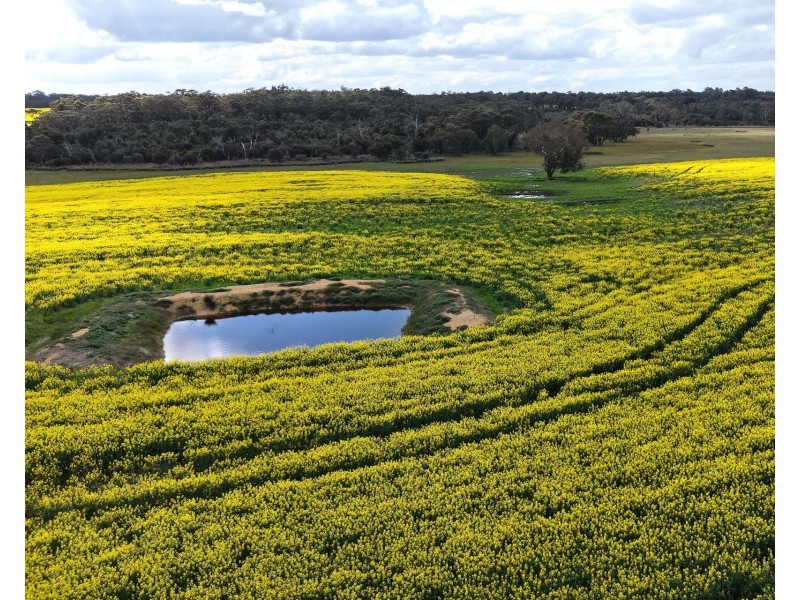 171 Kwornicup Road, Forest Hill WA 6324