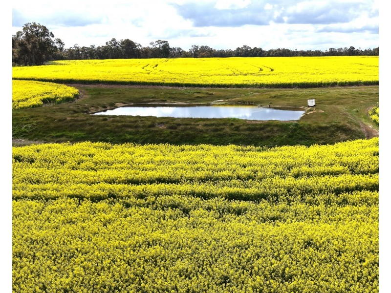 171 Kwornicup Road, Forest Hill WA 6324