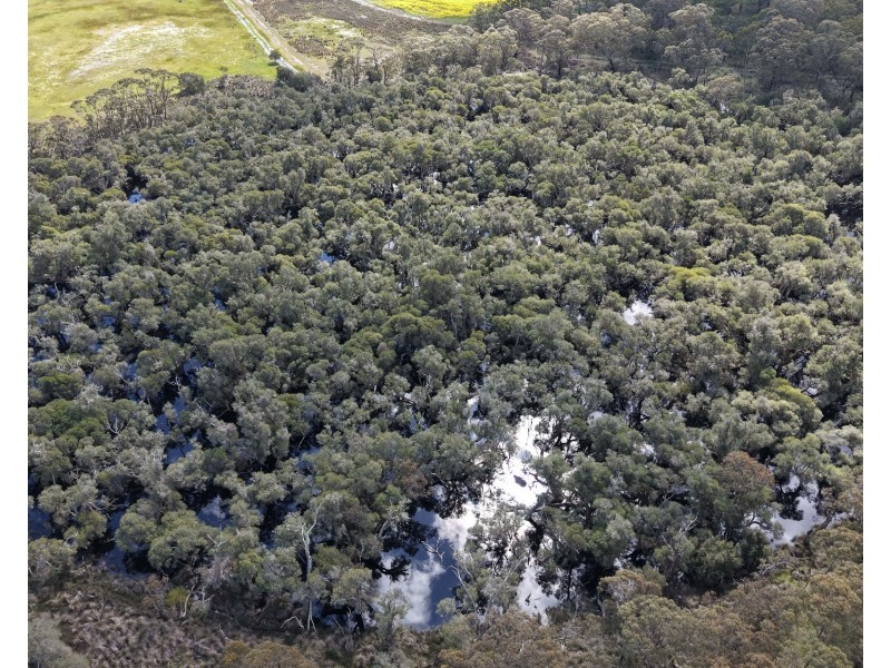 171 Kwornicup Road, Forest Hill WA 6324