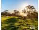 Lot Lot 5,  Shelley Beach Road, Kronkup WA 6330
