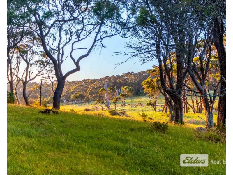 Lot Lot 5,  Shelley Beach Road, Kronkup WA 6330
