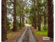 2 Riverside Road, Kalgan WA 6330