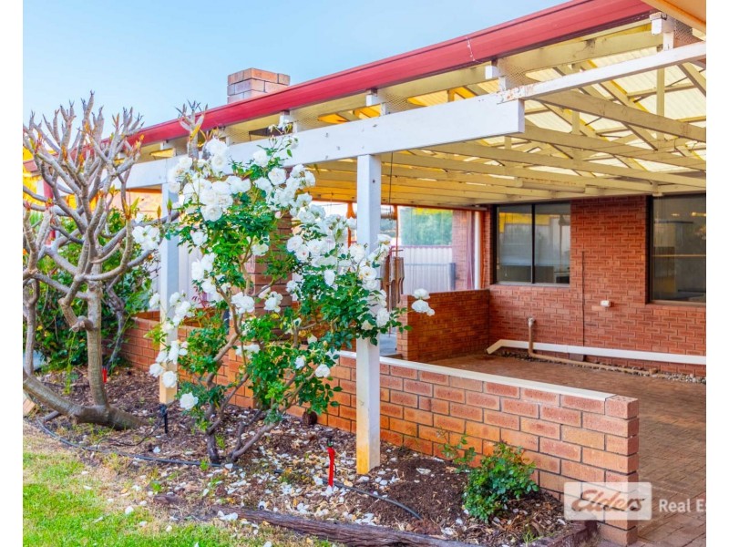 12 Baudin Place, Spencer Park WA 6330
