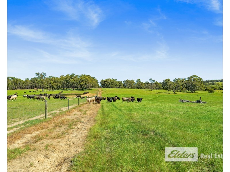 Lot 1443 Wallinger Road, Narrikup WA 6326