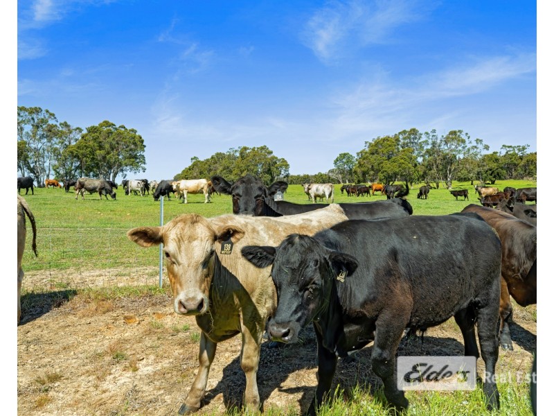 Lot 1443 Wallinger Road, Narrikup WA 6326