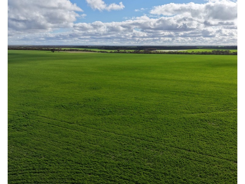 1994 Mallee Road, West Fitzgerald WA 6337